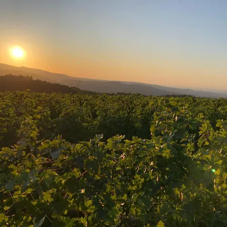 Apartmán Dimora Le Colline *