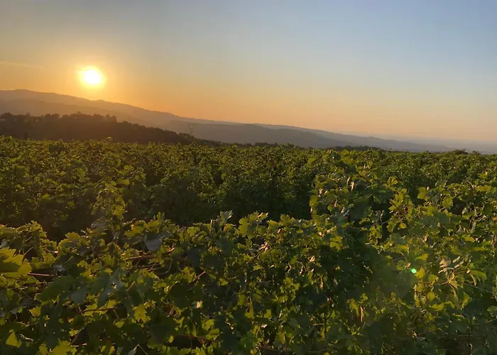 Lägenhet Dimora Le Colline *