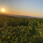 Daire Dimora Le Colline *